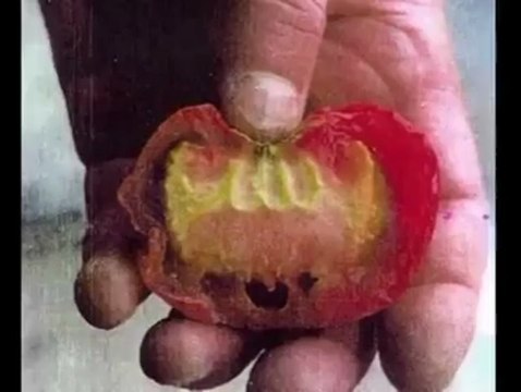 Miracles of Islam- Allah