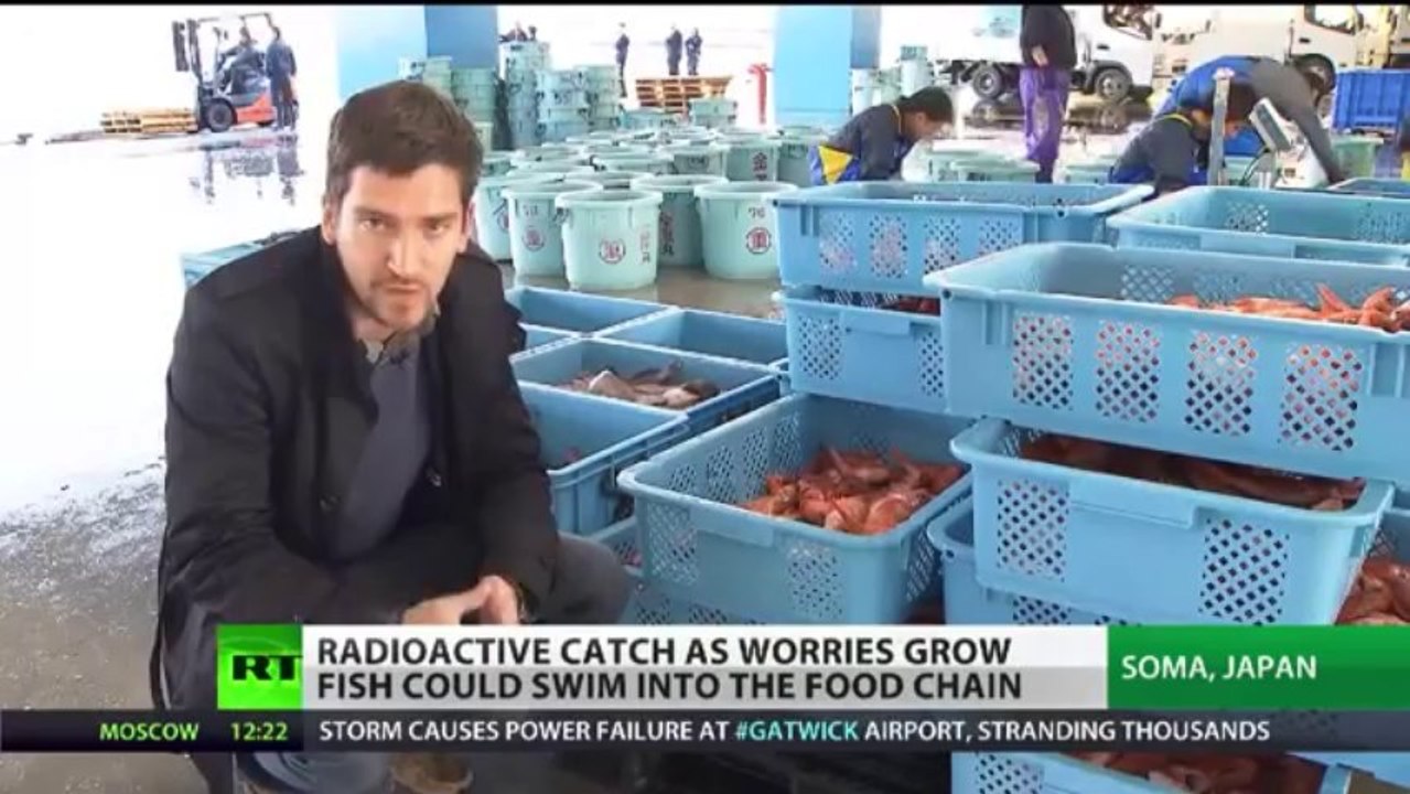 20131225Fukushima Fish Ends in Garbage　Radioactive Fears Blight J