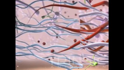 Core Matrix Medical Animation