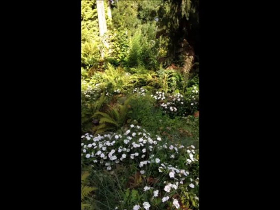jardinplantes2013