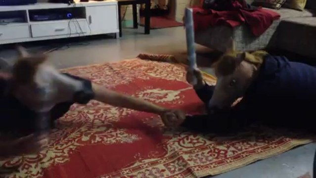 Horses Go Head-To-Head in Party Game