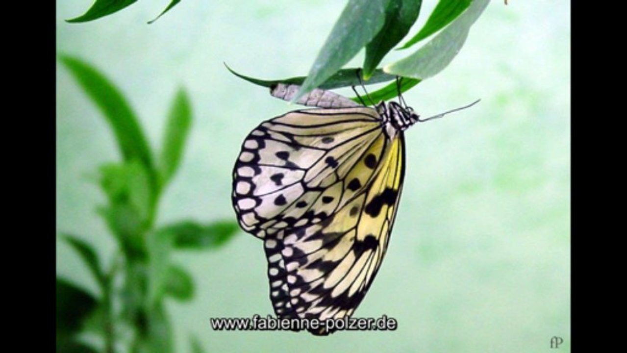 Fotos und Kunst auf meinem Blog