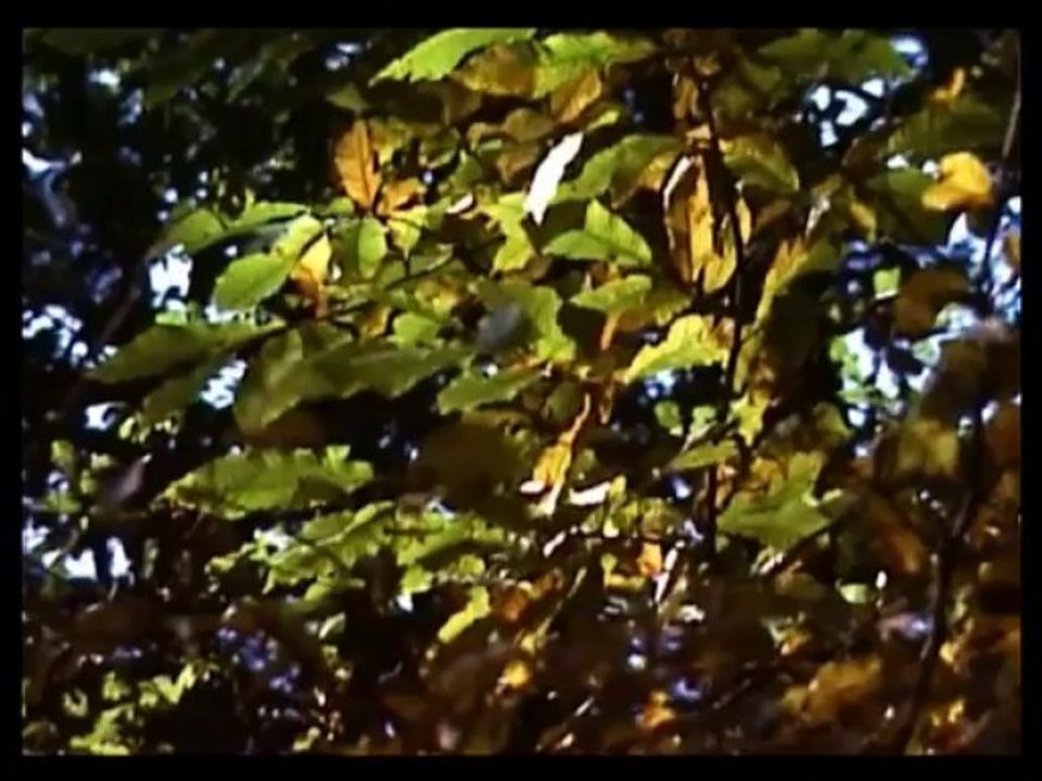 Di. 07.09.1976 - Von Frankweiler nach Edenkoben - 26 km