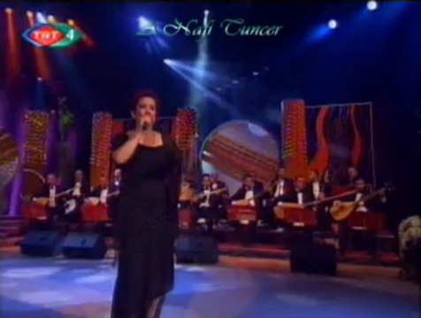 Aysun GÜLTEKİN-Kalenin Dibinde Bir Taş Olaydım-3