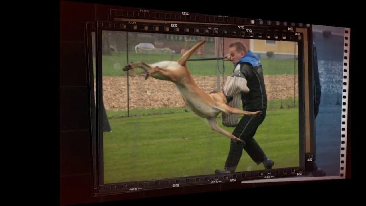 Be Aware Cobra @ IPO-1 (Diaporama)