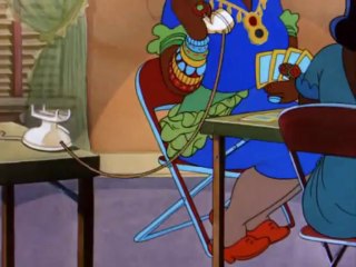 48 Il gatto del sabato sera