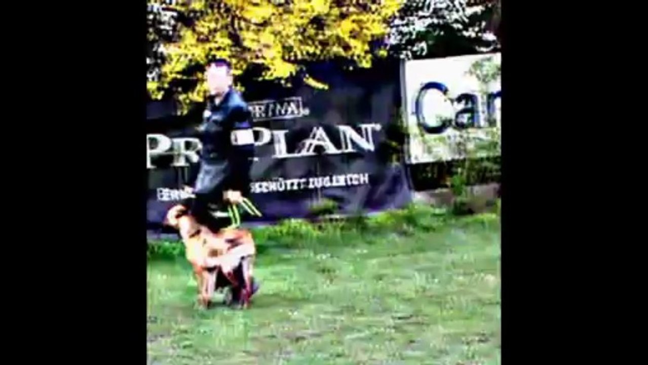 Be Aware Dope @ NÖ-LM 2013 - BGH1