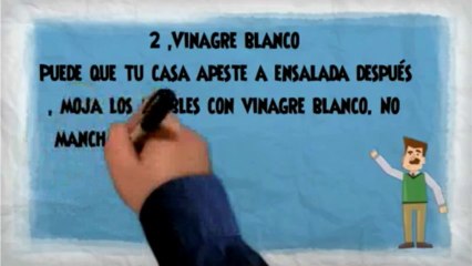 Como Enseñar A Un Perro A No Morder Cosas