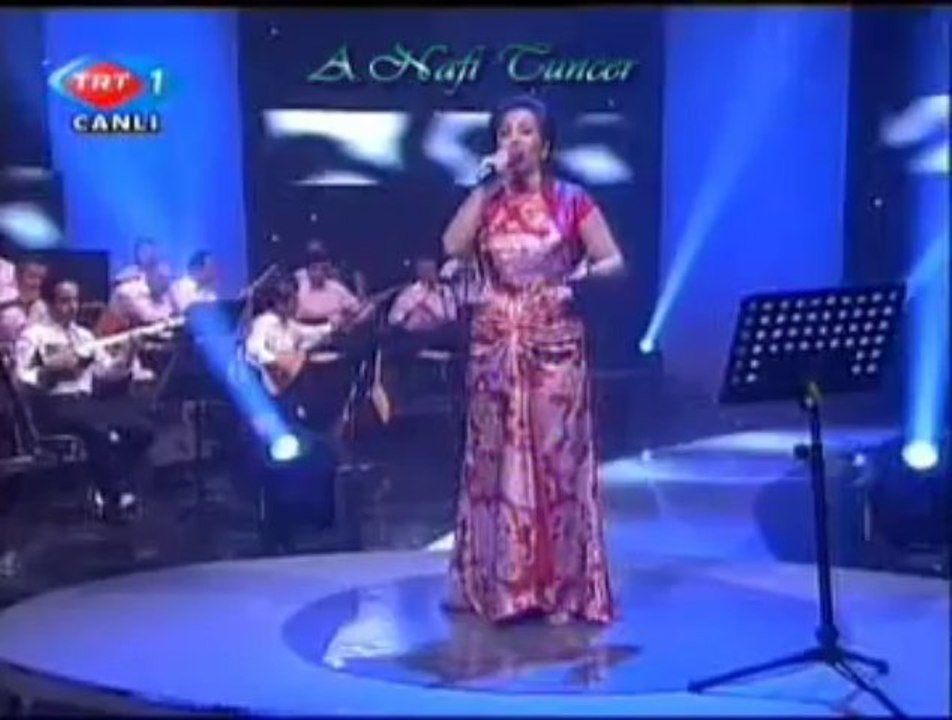 Aysun GÜLTEKİN-Salındı Bahçaya Girdi