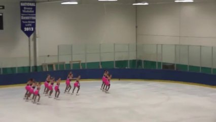 Dr Porter Classic Ann Arbor CEFSC PreJuv 2nd place Dec 2013