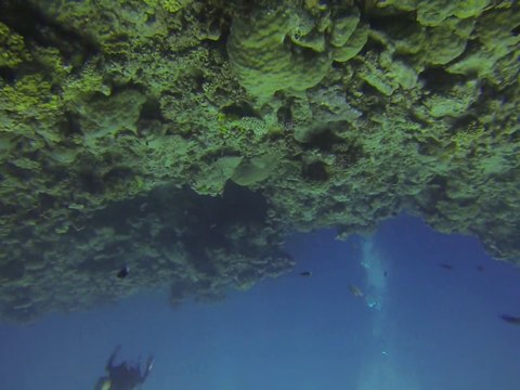 Australie- Queensland: Plongé sur la Grande Barrière de Corail