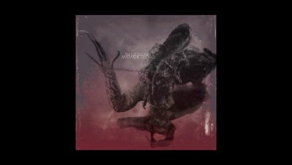 'The Cat. Not Me' - Album teaser - Marianne Dissard