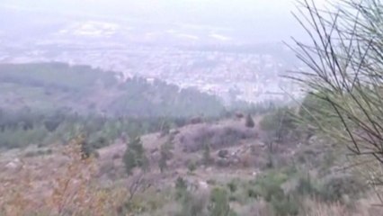 Fire exchanged on Israel-Lebanon border