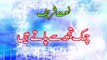 Naat Online : Urdu Naat - Chamak Tujh Se Pate Hen Sab HD Official Video by Hakeem Faiz Sultan Qadri New Album 2014