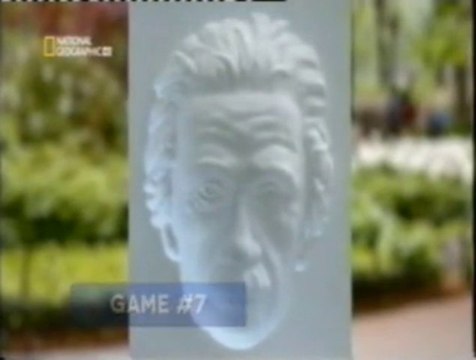 Percepcion visual: Ilusion del rostro hueco