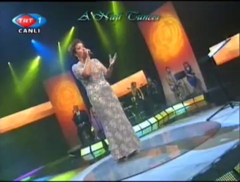 Aysun GÜLTEKİN-İki Dağın Arasında Kalmışam