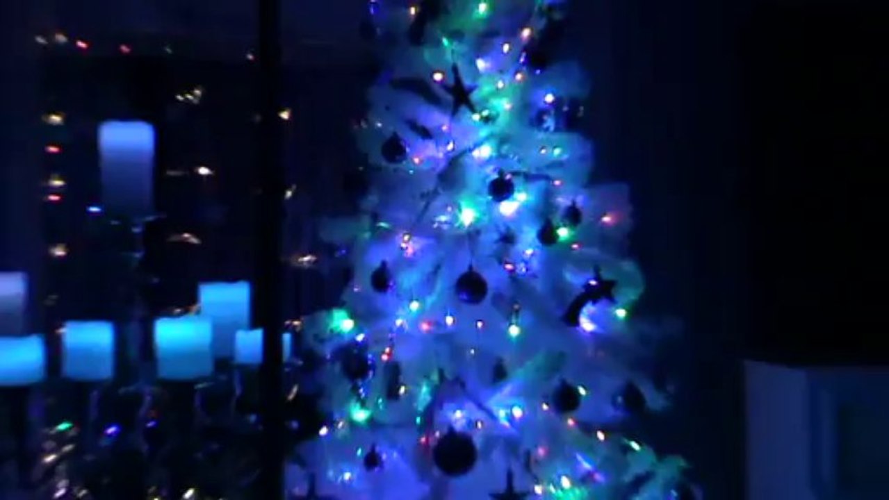 Weihnachten 2013  Dekoration bei Hubert und Matthias (4)