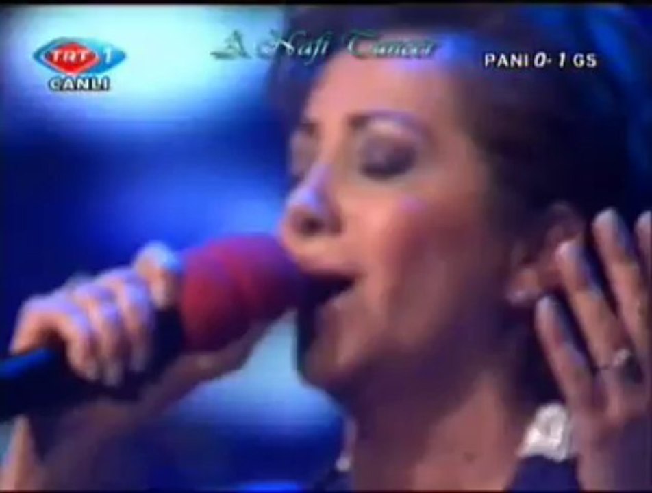 Aysun GÜLTEKİN-Kınalı Kar