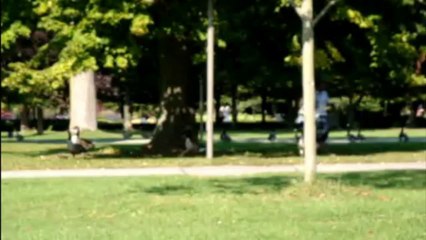 2010 - Mariage François & Florence