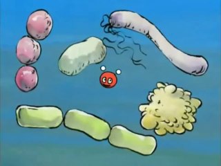 Yaşamın Başlangıcı