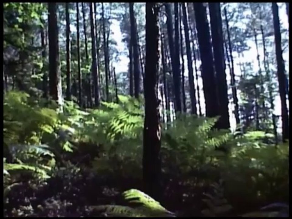 Mi. 08.09.1976 - Von der Buschmühle nach Edenkoben - 21 km