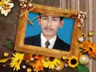 One True Media - Professional Video Styles_2