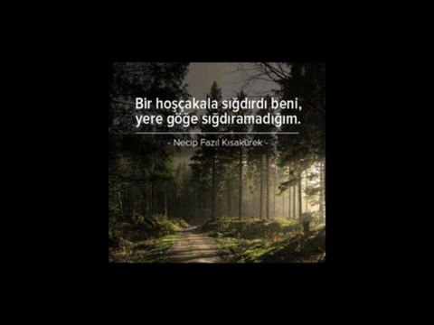 taner && affetmedim kendimi