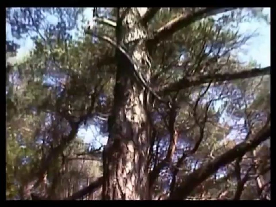 Mi. 22.09.1976 - Von Hambach nach Edenkoben - 21 km