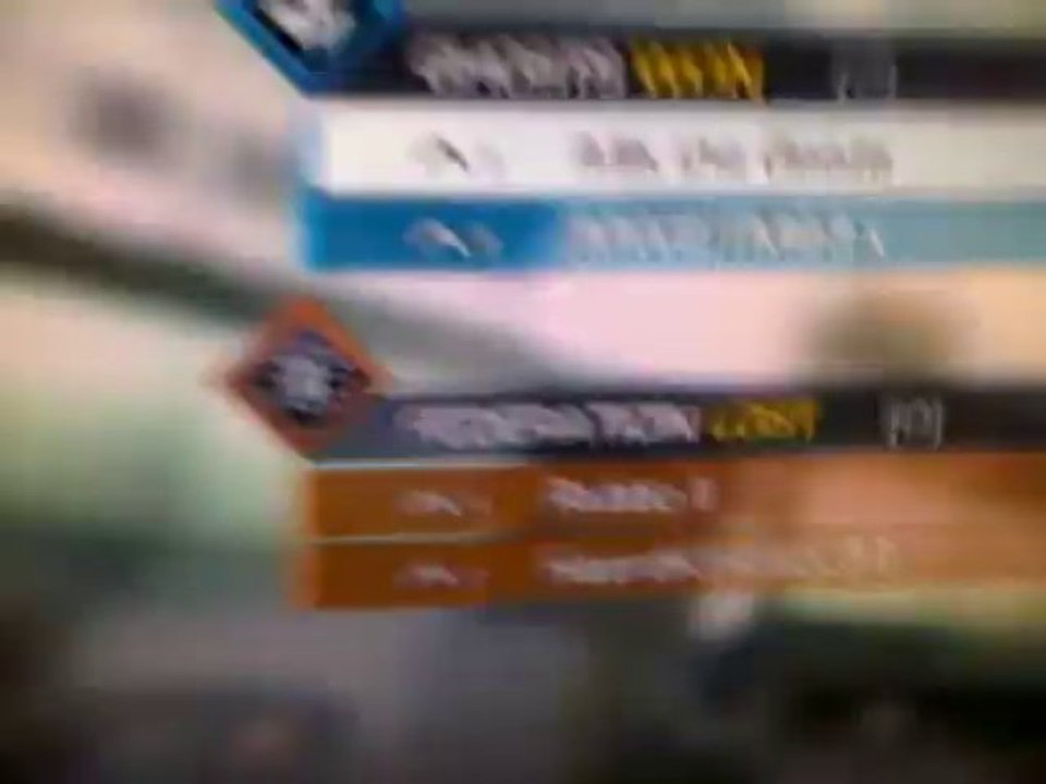 VID-20131229-00516