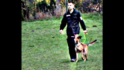 Be Aware Dope @ NÖ-LM 2013 -  BGH1