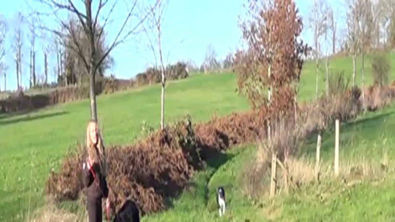 journée du 29 12 13
