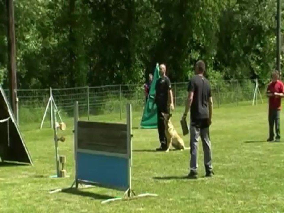 Be Aware Cobra @ IPO-2 Obedience