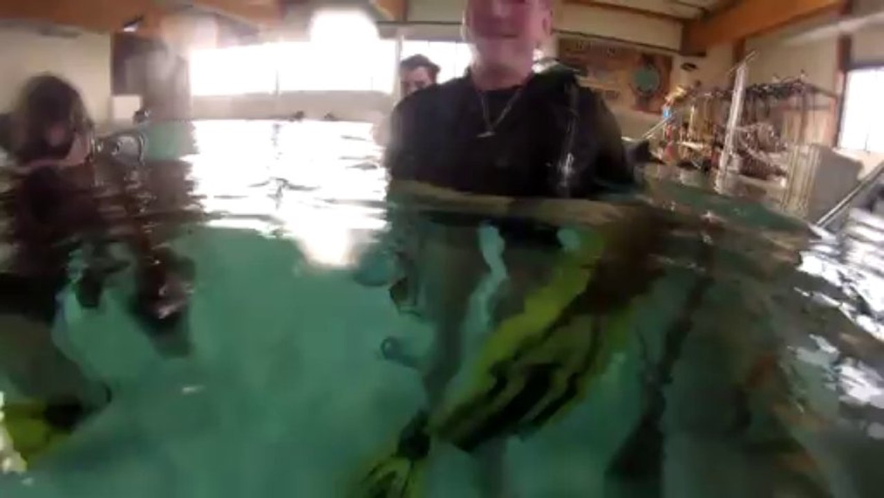 Une journée à Némo 33