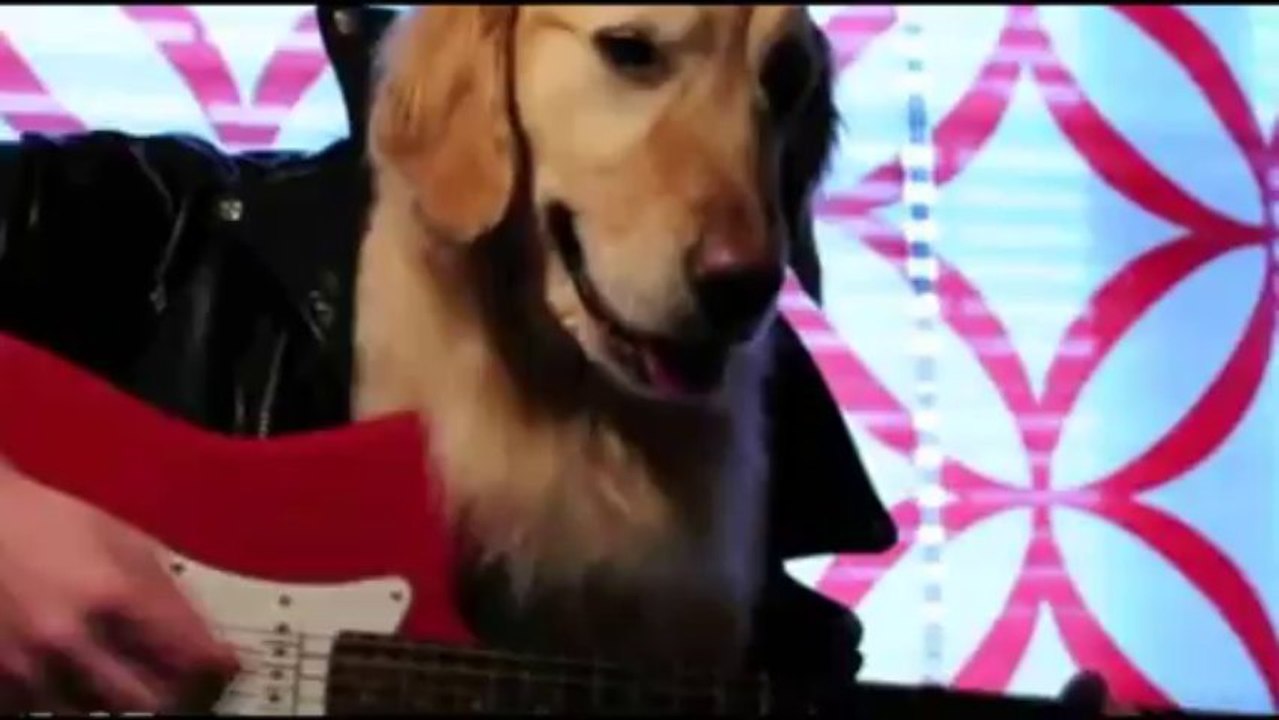 Parodie Stromaé - Alors on danse !