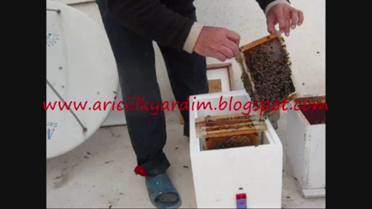 modifiye straphor ruşet