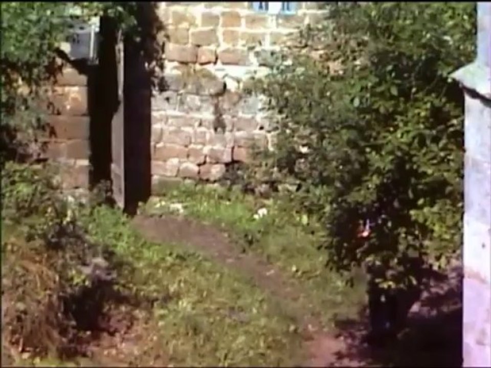 Fr. 18.09.1981 - Von der Kaiserbacher Mühle nach Annweiler - 14 km