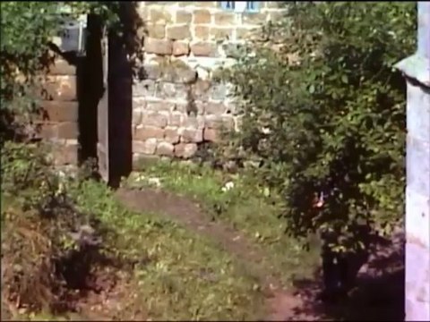 Fr. 18.09.1981 - Von der Kaiserbacher Mühle nach Annweiler - 14 km