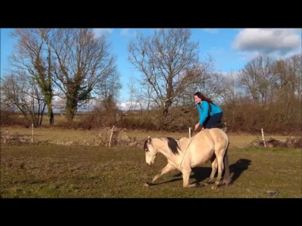 Kitsuneïro - Travail en liberté décembre 2013