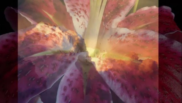 Debussy: La Soirée dans Grenade (Evening in Grenada), from Estampes