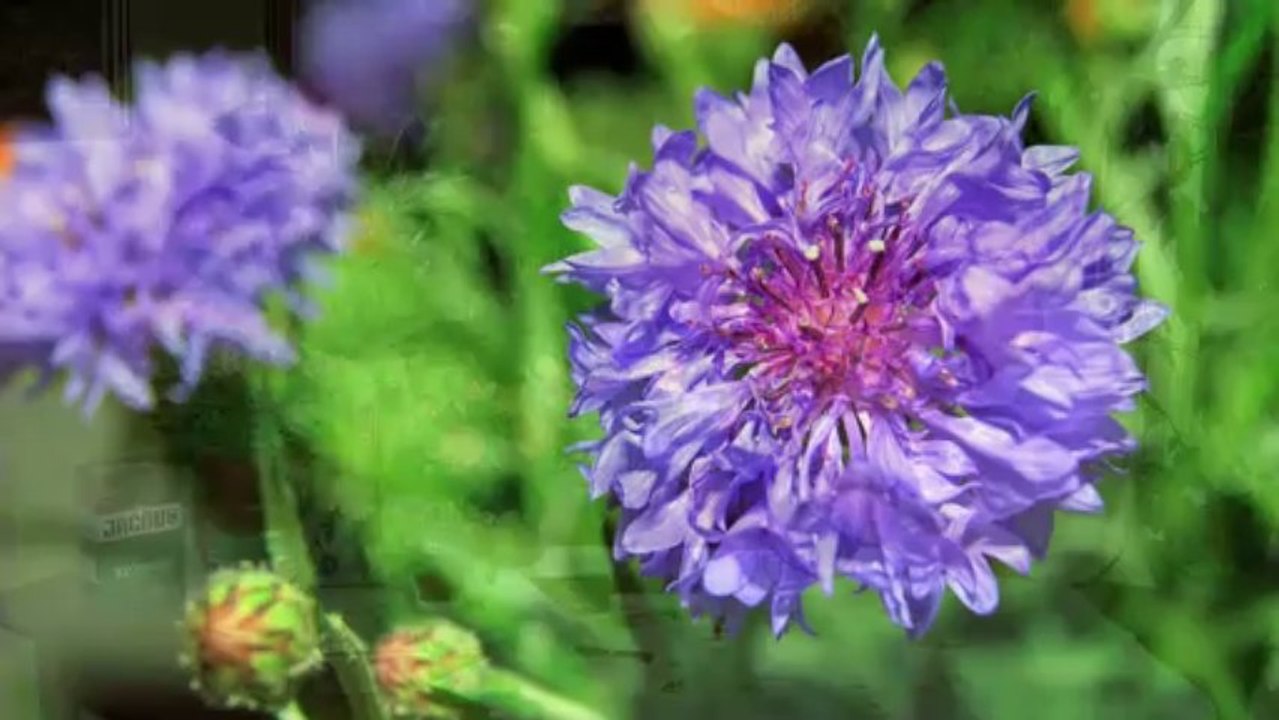 Es-war-einmal-1987-06-08_1280-4000