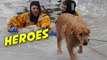 Heroic Firefighters Rescue Dog Trapped in Icy River