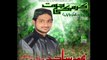 Roze Ki Jalian By Muhammad Sajid Javed Sultani*New Album 2014* (Karam ki Jot) Rabi ul Awal Special