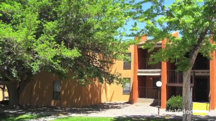 Mountain Vista Apartments in Albuquerque, NM - ForRent.com