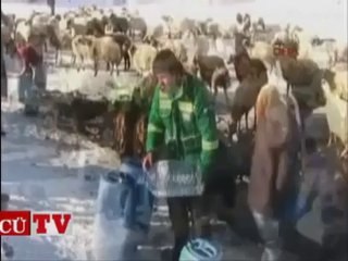 Dondurucu soğuklarda eşekle su taşıyorlar