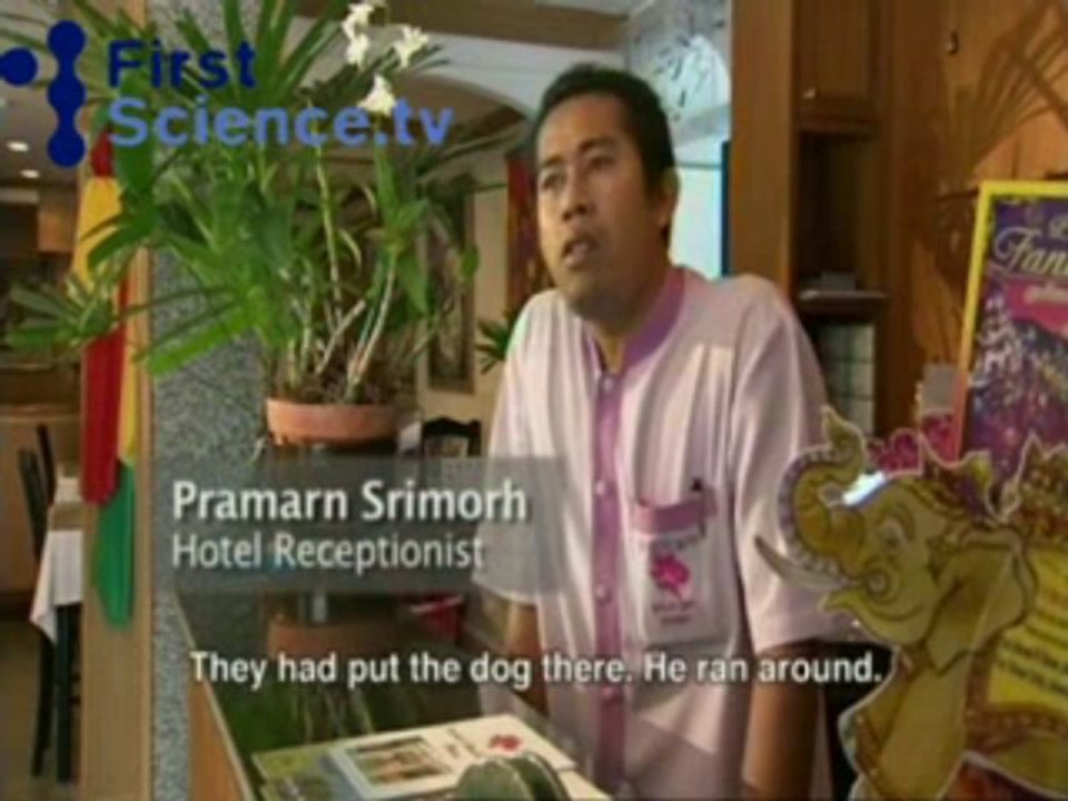 RQP888.Ｃ0Ｍ♣카지노주소❤헬로카지노❤헬로우바카라❤헬로바카라추천❤바카라주소❤헬로우싸이트❤헬로우월드카지노주소❤카지노주소❤헬로월드카지노❤우리헬로우카지노사이트❤우리헬로카지노추천❤우리카지노❤우리카지노주소❤코리아카지노❤브라보카지노❤엔젤카지노❤강남카지노❤빅브라더카지노체험❤와와카지노추천❤에이플러스카지노노하우❤카지노주소❤바카라주소❤카지노추천❤바카라추천❤바카라싸이트❤카지노싸이트❤다모아카지노추천❤바카라주소❤인터넷카지노❤인터넷바카라싸이트❤강원랜드카지노❤우리카지노싸이트❤