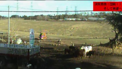 20131230 09-30 　牧場１号機　ガガちゃん、いちごちゃん