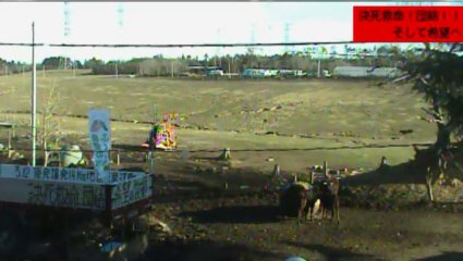 20131230 08-30　牧場１号機　藁といちごちゃんとちび太君？