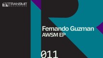 Fernando Guzman - AWSM (Original Mix) [Transmit Recordings]