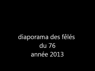FILM DES FELES ANNEE 2013