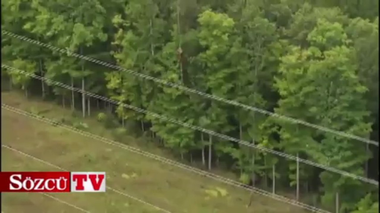 Helikopter ile ağaç budama